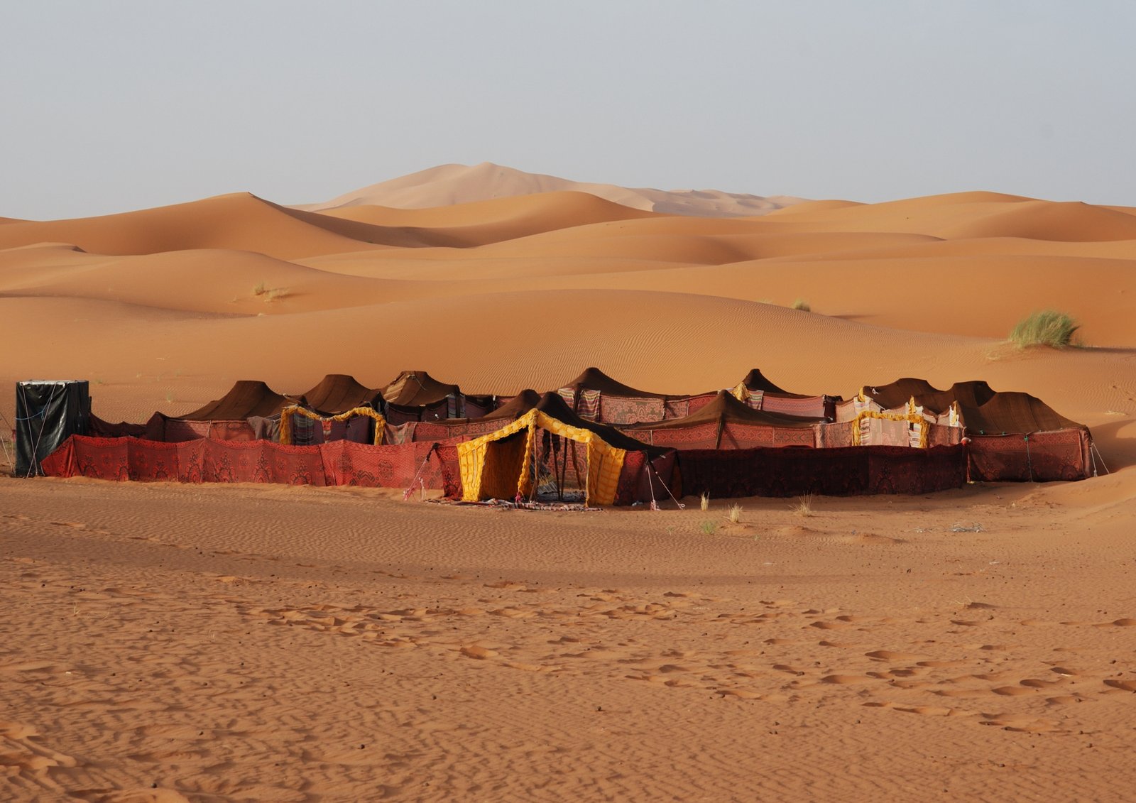Merzouga Desert Camel Trek