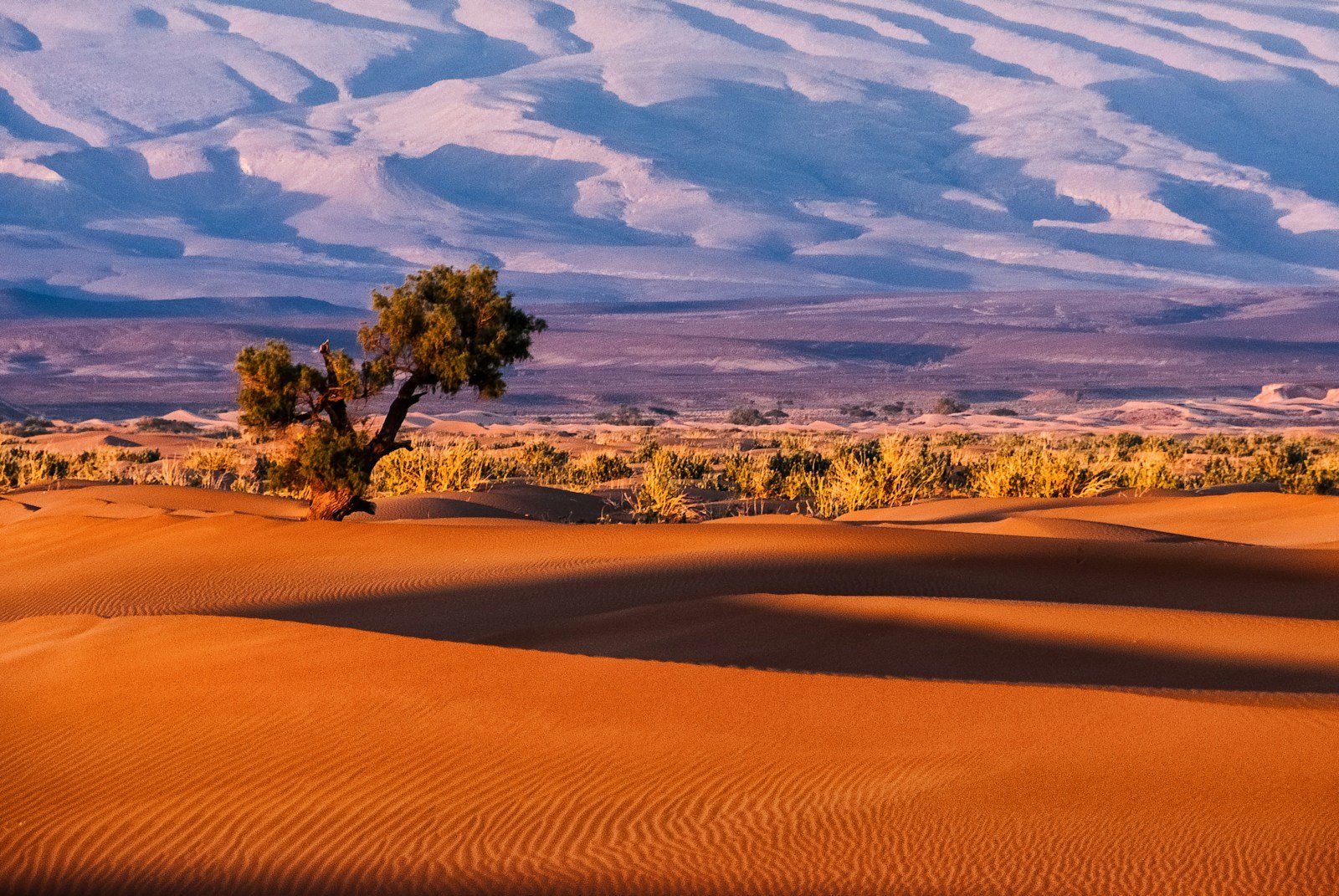 3-Day Luxury Merzouga Desert